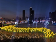 道路的亮化設計應該注意哪幾個點？